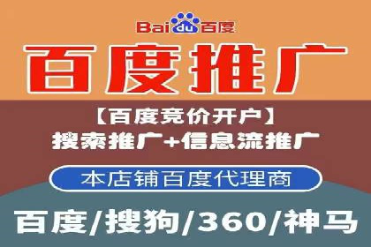 揭秘SEM竞价托管：实战案例深度解析